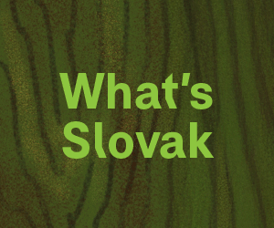 slovakia_clermont-ferrand_2026