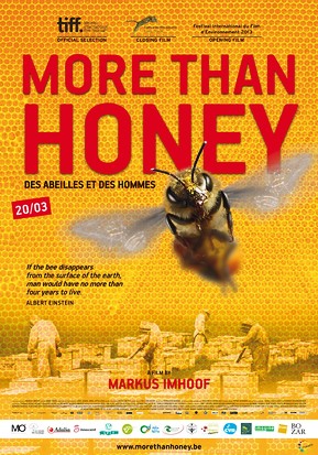 Case Study on distribution strategies: More Than Honey