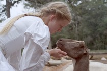 Le Cœur battant : la lumière silencieuse