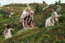 Heidi, a Swiss film that has so far enjoyed dazzling success