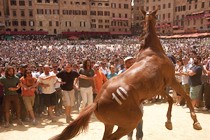 Palio