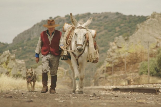 Donkeyote, o come filmare un viaggio