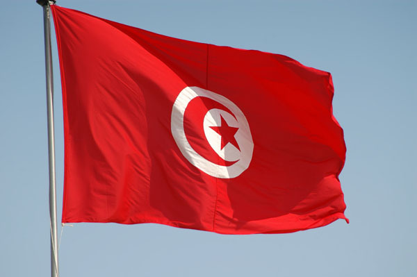 Tunisia gets on board the MEDIA programme