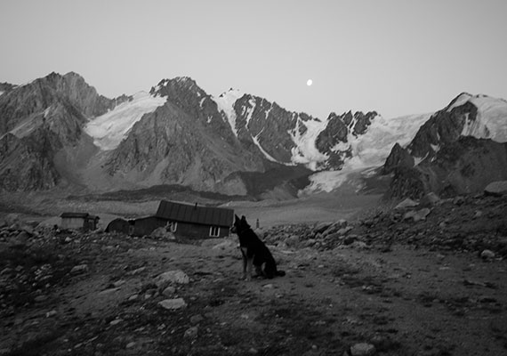 Woman and the Glacier: 30 años de soledad