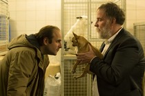 Dog wins big at the Namur Film Festival