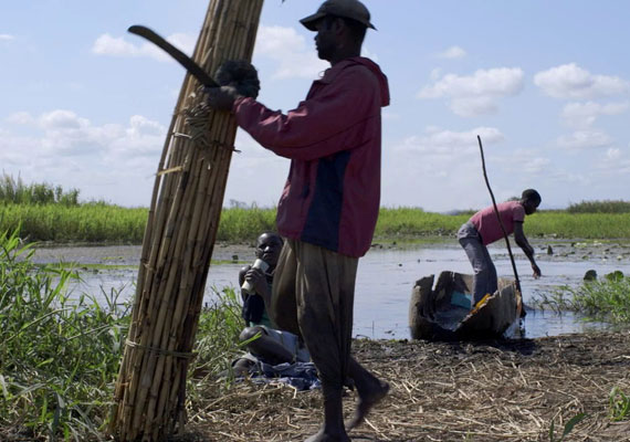 The Dispossessed: la realidad de la explotación por parte de la industria agrícola global