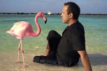 Review: The Mystery of the Pink Flamingo