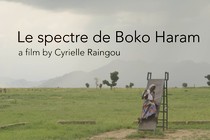 Le Spectre de Boko Haram