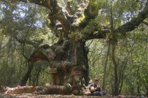 Review: Valentina and the MUOSters