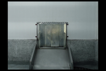 The Blue Trail - by Gabriel Mascaro