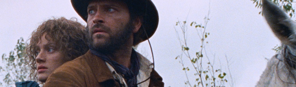 Heads or Tails? (2025)