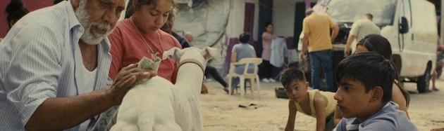 Sleepless City - di Guillermo Galoe