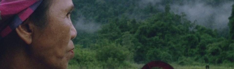 Hair, Paper, Water… (2025)