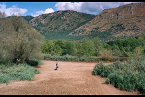 Heads or Tails? - by Matteo Zoppis, Alessio Rigo de Righi