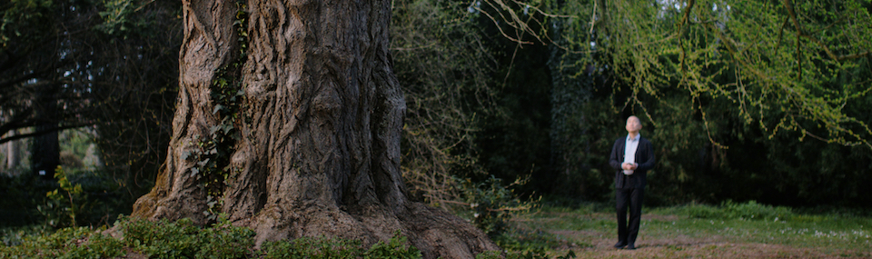 Silent Friend (2025)