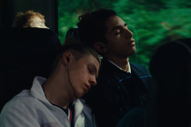 Wild Foxes - di Valéry Carnoy