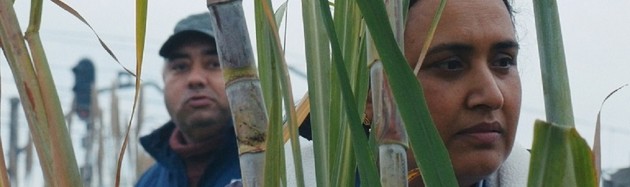 Good Valley Stories - by José Luis Guerin