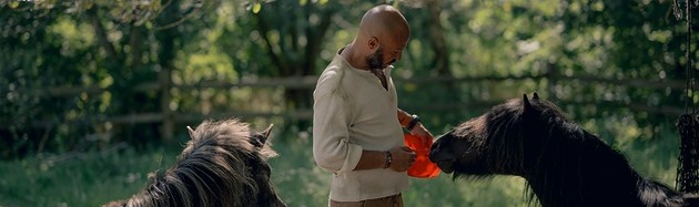 Hercules Falling - di Christian Bonke