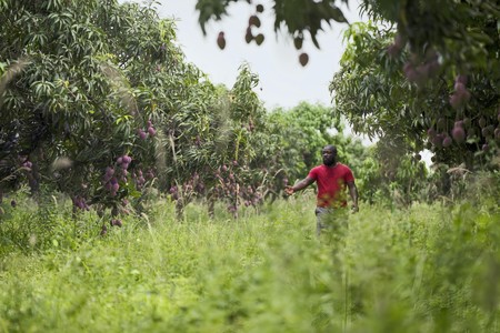 The Solothurn Film Festival announces the programme for its 61st edition