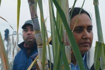 Good Valley Stories - by José Luis Guerin