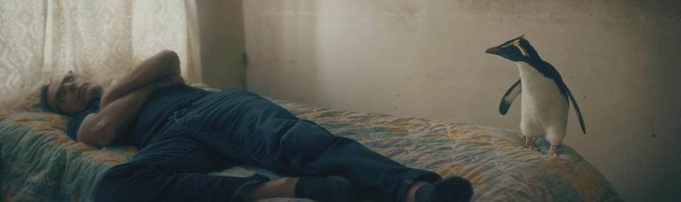 Tristan Forever (2026)