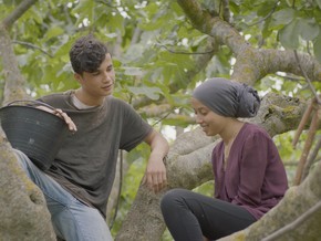 Recensione: Under the Fig Trees - Cineuropa