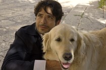 Italo arrives in cinemas and tells the true story of a dog that becomes a hero